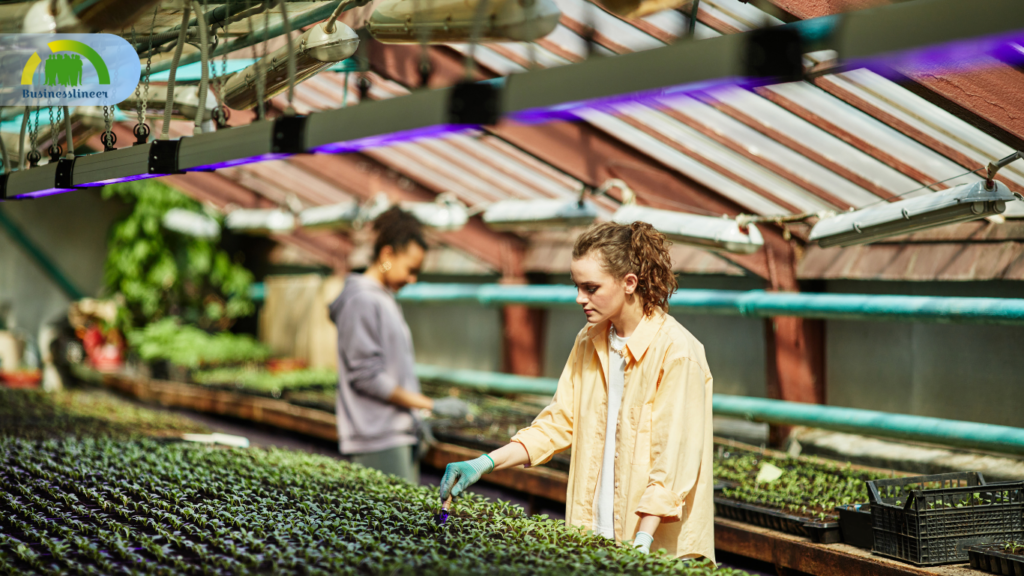 Pica’s Greenhouse Productions System with Business Central